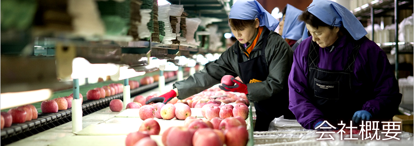 �Ìy�̂�񂲂�S����