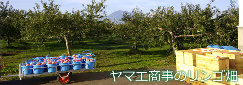 �Ìy�̂�񂲂�S����