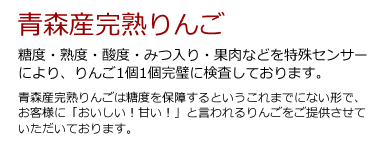 �X�Y���n���